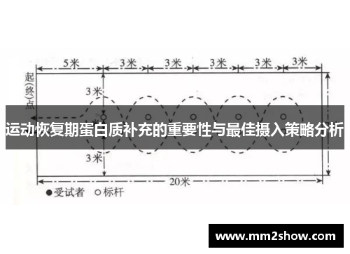 运动恢复期蛋白质补充的重要性与最佳摄入策略分析